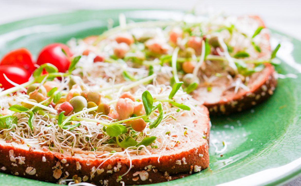 Healthy vegetarian sandwich with whole grain bread,alfalfa,hummu