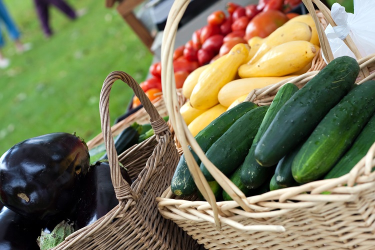 Fresh Organic Farmers Market Vegetables